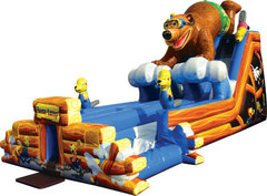 Dual Lane Bear Slide Wet 